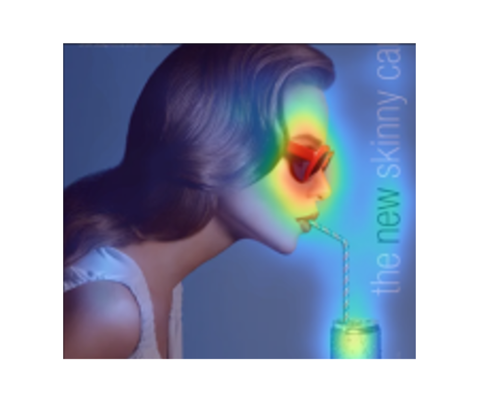 Attention Insight vs. Vizit