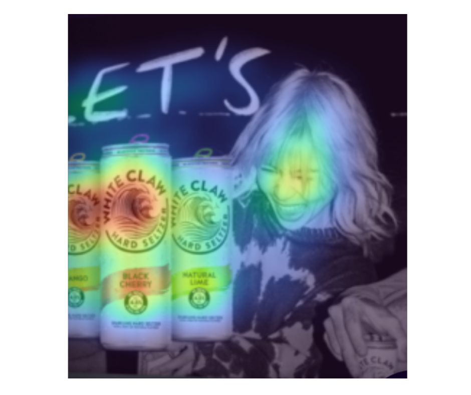 Attention Insight vs. Vizit