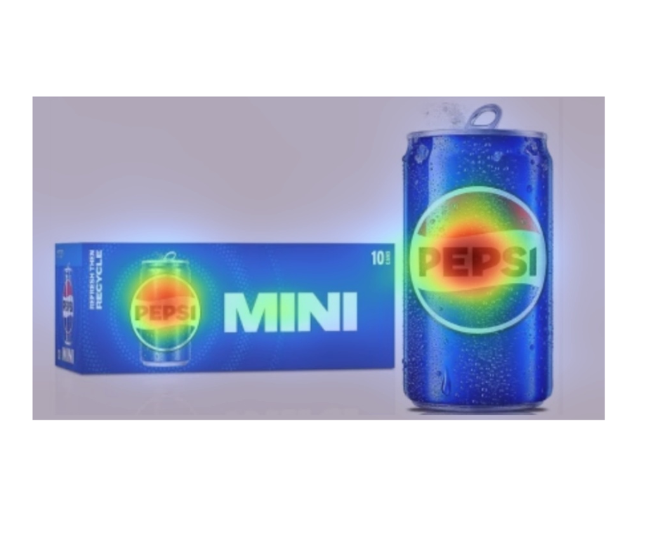 Attention Insight vs. Vizit