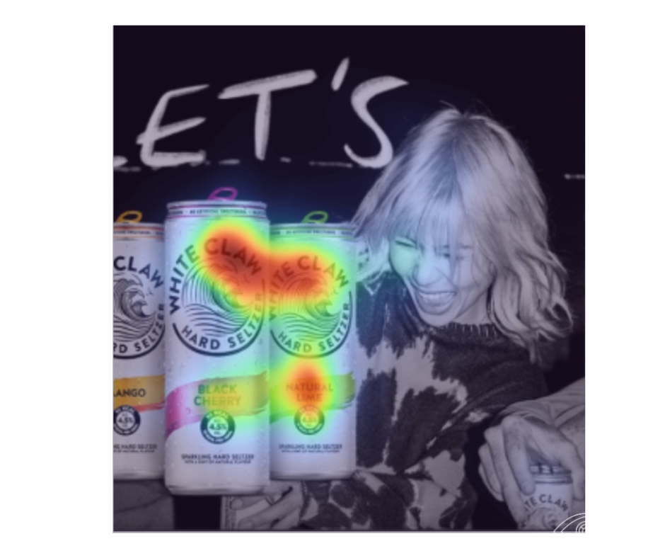 Attention Insight vs. Vizit