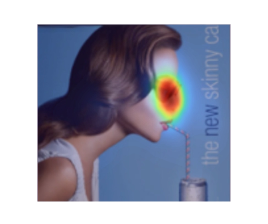 Attention Insight vs. Vizit