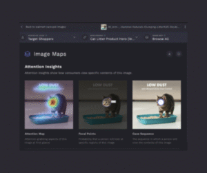 Attention Insight vs. Vizit